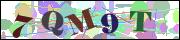 capcha