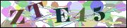 capcha