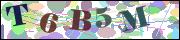 capcha