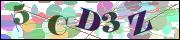 capcha