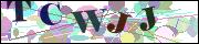 capcha