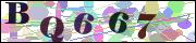 capcha