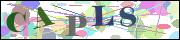 capcha