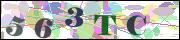 capcha