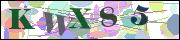capcha