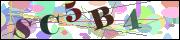 capcha