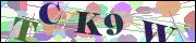 capcha