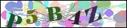 capcha