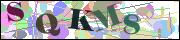 capcha