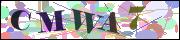 capcha