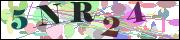 capcha