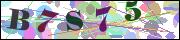 capcha