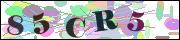 capcha