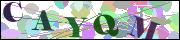 capcha
