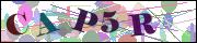 capcha