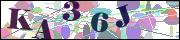 capcha