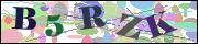 capcha