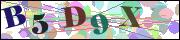 capcha