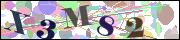 capcha