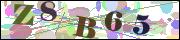 capcha