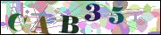 capcha