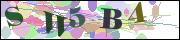 capcha
