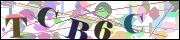 capcha