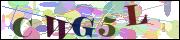 capcha