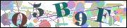 capcha
