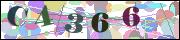 capcha