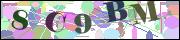 capcha