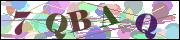 capcha