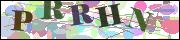 capcha