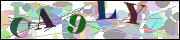 capcha