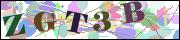 capcha