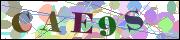 capcha