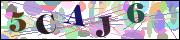 capcha