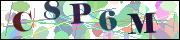 capcha