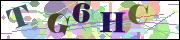 capcha