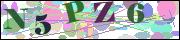 capcha