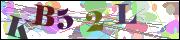 capcha