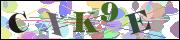 capcha