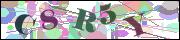 capcha