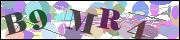 capcha