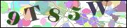 capcha