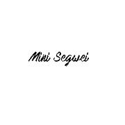 Mini Segwei